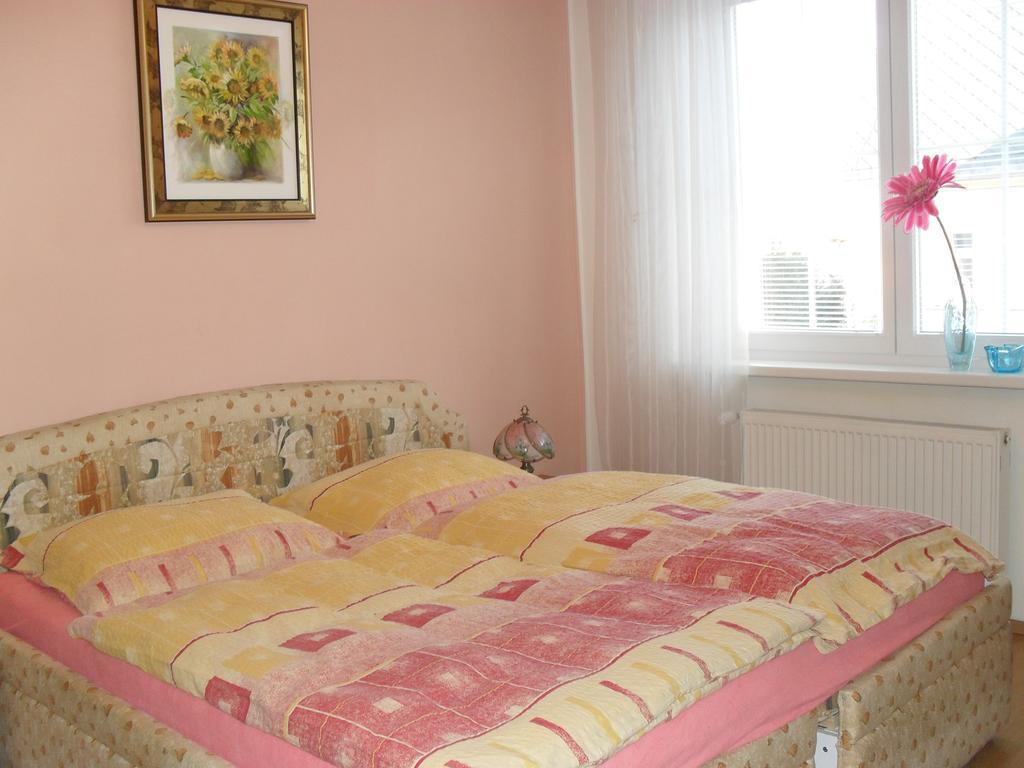 Pension Rak Karlovy Vary Exterior foto